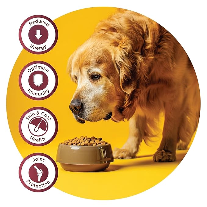 Fidele Adult Senior Dry Food For Dogs