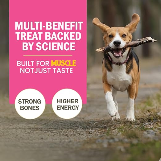 Gnawlers Calcium Milk Sticks Vegetarian & Sustainable Treat For Dogs 810g