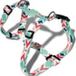 Zee dog Marcuch H-Harness For Dogs Large