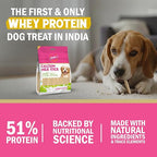 Gnawlers Calcium Milk Sticks Vegetarian & Sustainable Treat For Dogs 810g