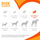 Nylabone Power Chew Textured Ring Bone Flavor Medley Chew Toy Up to 7kg Dogs 9.67cm x 2.69cm x 1.60cm