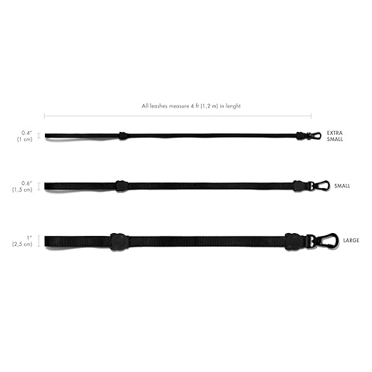 Zee dog Midnight Dog Leash