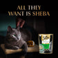 Sheba Pate Maguro Wet Cat Food 70g