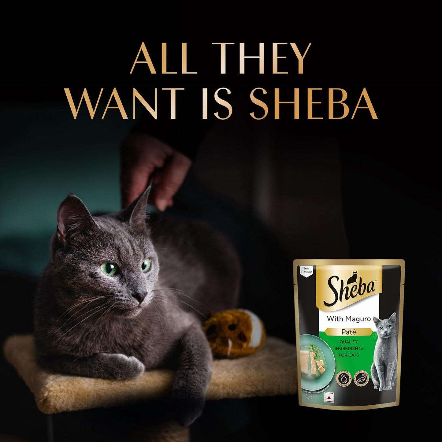 Sheba Pate Maguro Wet Cat Food 70g