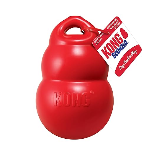 Kong Classic Bounzer Fetch Dog Toy Medium