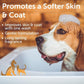 Nootie Moisturizing Vitamin E & Almond Oil Warm Vanilla Cookie Shampoo For Dog & Cat 3.78L