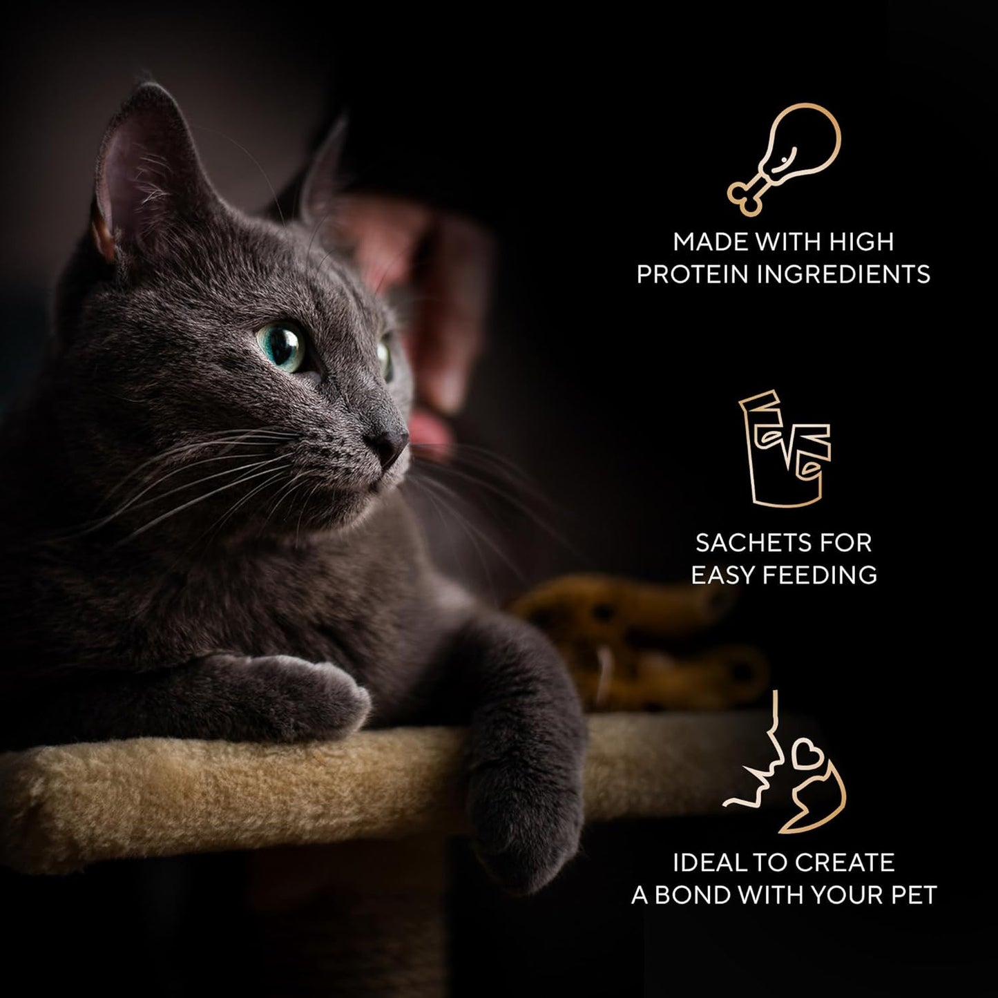 Sheba Duo Adult Crunchy Cat Treats Contain Variants Tuna & Chicken, Salmon & Tuna, Chicken & Salmon 15 x 9 = 135g