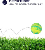 Petstages Squeeze & Grunt N' Punt Tennis Ball Dog Toy 3.25cm