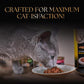 Sheba Duo Adult Crunchy Cat Treats Contain Variants Tuna & Chicken, Salmon & Tuna, Chicken & Salmon 15 x 9 = 135g