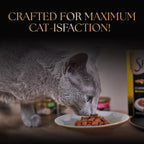 Sheba Duo Adult Crunchy Cat Treats Contain Variants Tuna & Chicken, Salmon & Tuna, Chicken & Salmon 15 x 9 = 135g