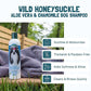 Bio-Groom Wild Honey Suckle Vegan & Cruelty-free Shampoo For Dog 355ml