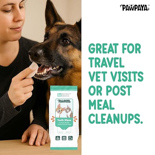 Pawpaya Tooth Wipe For Dogs & Cats 40 Pull