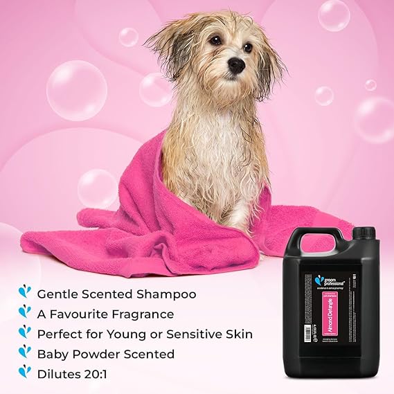 Groom Professional Almond Detangle Dog Shampoo