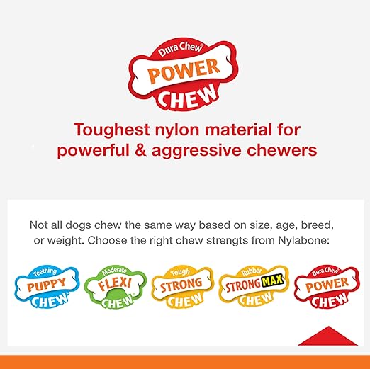 Nylabone Power Chew Flavour Frenzy Bone Twin Pack  Bacon Cheeseburger Flavor & Apple Pie Up to 11kg 11.43cm x 2.54cm x 4.44cm