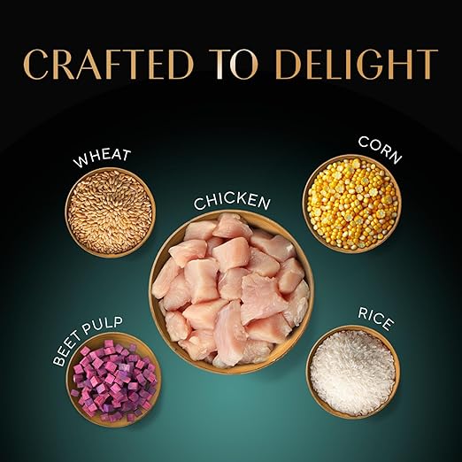 Sheba Kitten & Adult Salmon Flavor Irresistible Dry Cat Food  1.5 kg