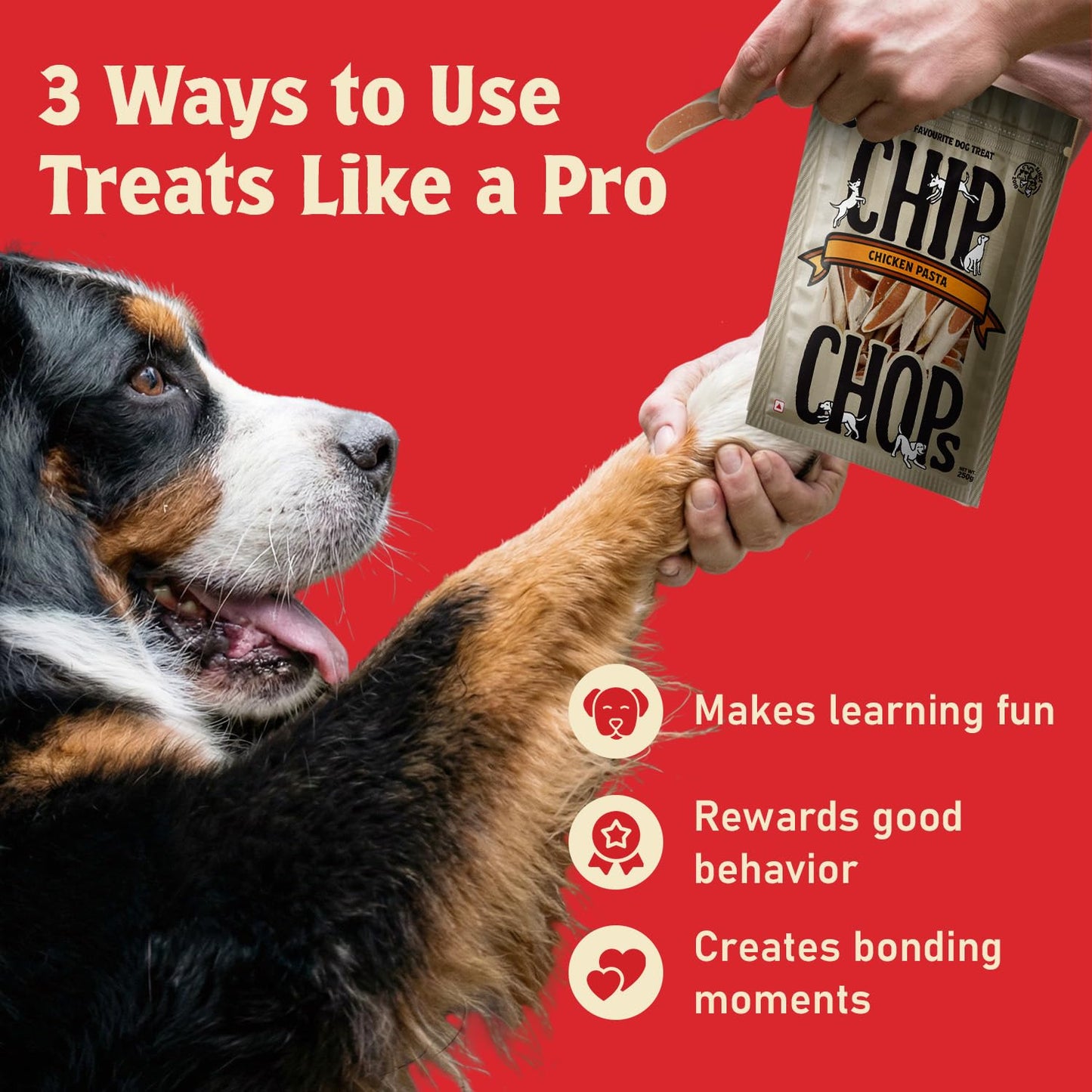 Chip Chops Chicken Pasta Dog Treat 70g