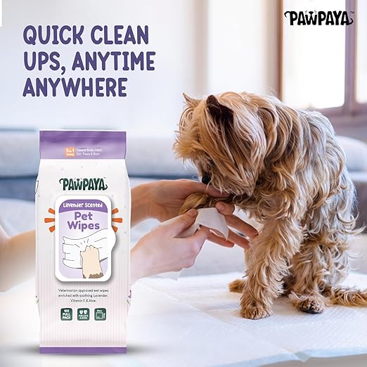 Pawpaya Lavender Scented Pet Wipes For Dogs & Cats 100 Pull