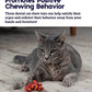 Petstages Catnip Plaque Away Pretzel Cat Chew Toy Orange 6x7cm
