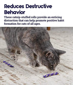 Petstages Nighttime Catnip Rolls Toy For Cat