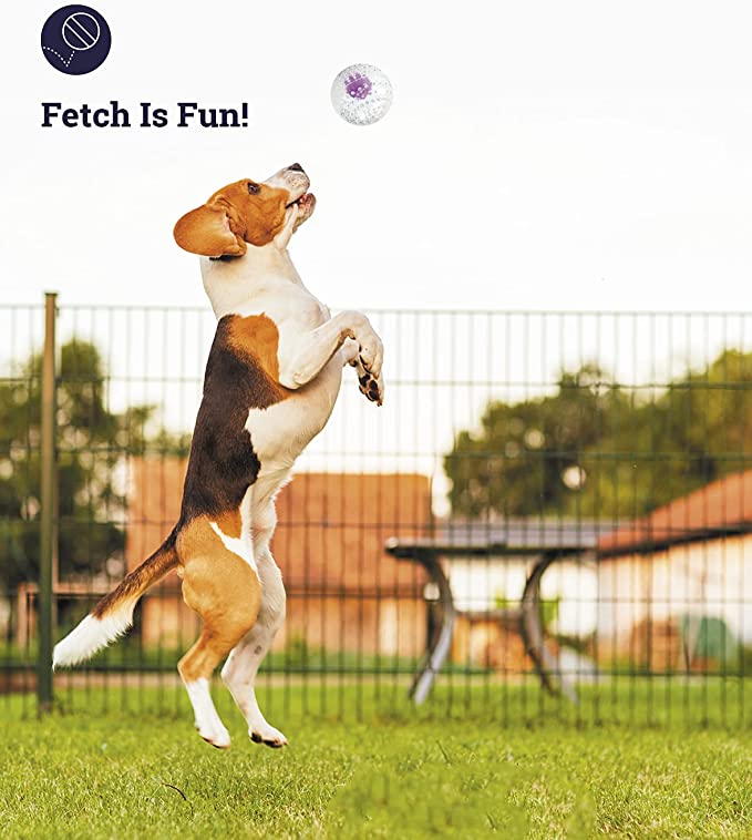 Petstages Nubbiez Treat & Squeak Dog Ball Purple Large