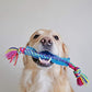 Petstages Orka Stick Dog Toy 30cm