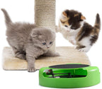 Tails Nation Cat Wheel Single Carpeted Toy For Cat