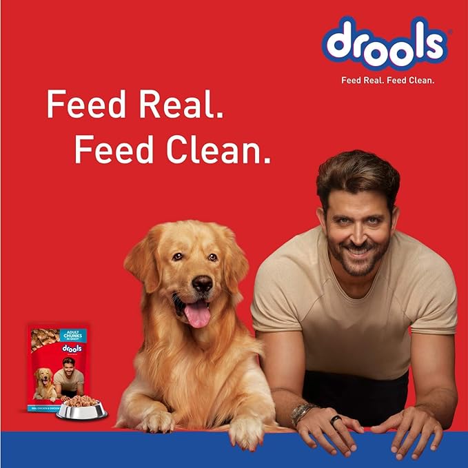 Drools Adult Wet Dog Food Real Chicken and Chicken Liver Chunks in Gravy pack of 15 (150gx15 = 2250g)