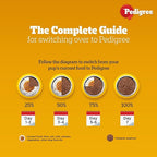 Pedigree Adult Wet Dog Food Chicken & Liver Chunks in Gravy 70gx7=490g