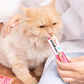 Inaba Churu Creamy  Hairball Control Chicken Recipe Grain Free Treat For Cats 14g x 4 Tubes