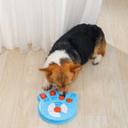 M-PETS Darwin Brainy Game For Dogs