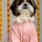 15 Furries Peach Dog Sherwani