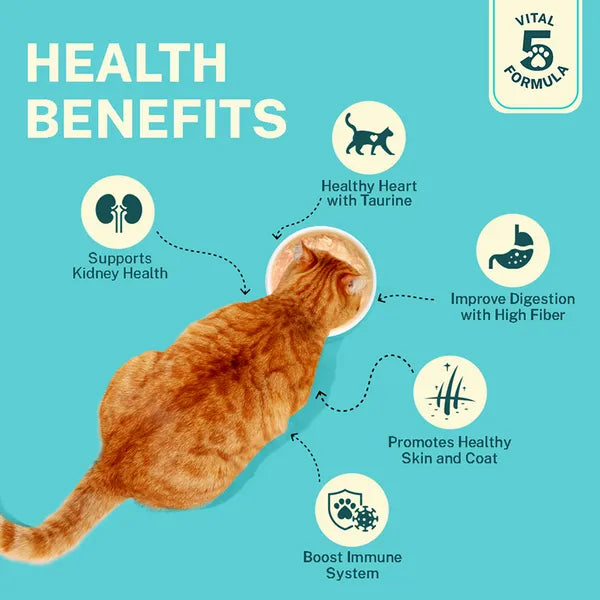 Smylo Kitten Tuna Salmon, Pumpkin, Fresh & No-Preservative Wet Cat Food 70g