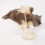FOFOS Natural Wobbler Cat Toy 14 x 14 x 25cm