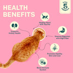 Smylo Adult Mackerel Kanikama & Cranberry, Fresh & No-Preservative Wet Cat Food 70g