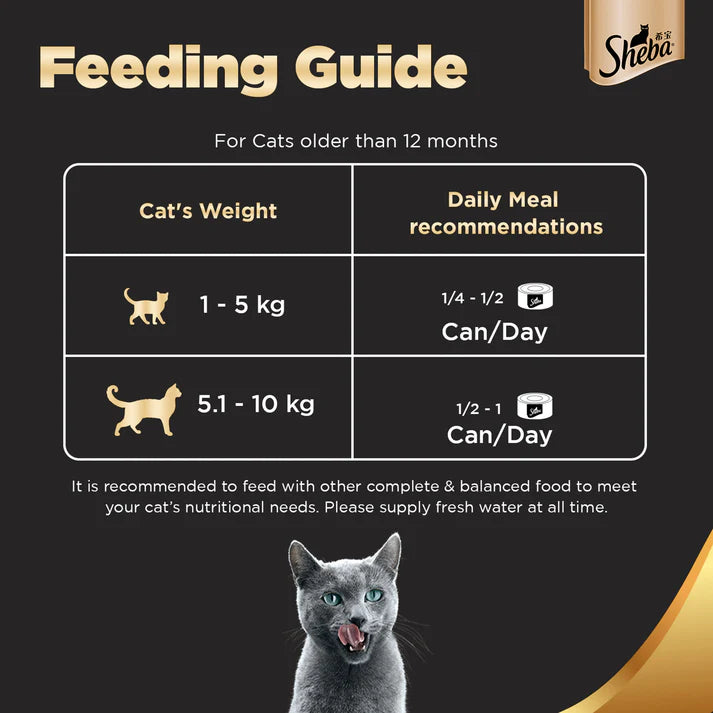 Sheba Deluxe Succulent Chicken Breast in Gravy Wet Cat Food 85g