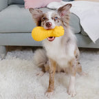 GiGwi Dumbbell Lion Heads Treat Dispenser and Squeak Toy for Dogs Medium