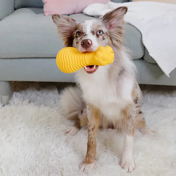 GiGwi Dumbbell Lion Heads Treat Dispenser and Squeak Toy for Dogs Medium