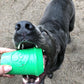 Sodapup Coffee Cup Treat Dispenser Dog Toy Green