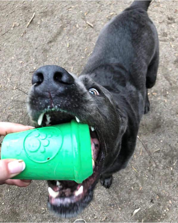 Sodapup Coffee Cup Treat Dispenser Dog Toy Green