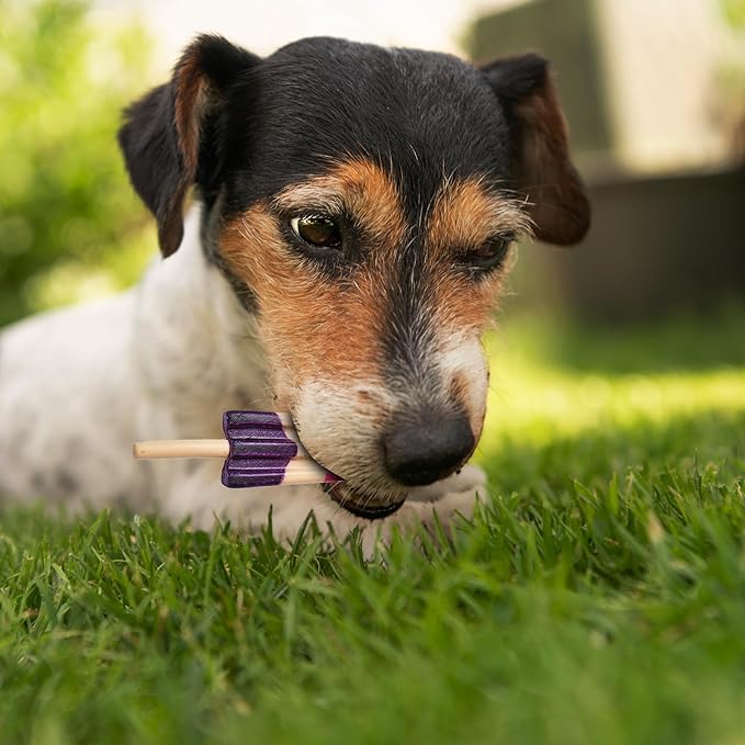 Pup Ice Ready to Freeze Rocket Lollies Adult Medium Dog Treat Strawberry & Blueberry Flavor