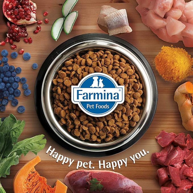 Farmina N&D Herring & Orange Grain Free Ocean Dry Cat Food 1.5kg