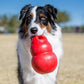 Kong Classic Bounzer Fetch Dog Toy Medium