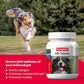 Beaphar HD Hip Dysplasia & Joint Problems Supplement Tablets for Dogs 60 Tablets
