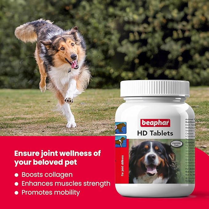 Beaphar HD Hip Dysplasia & Joint Problems Supplement Tablets for Dogs 60 Tablets