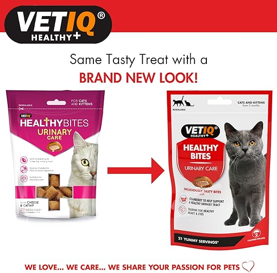 VETIQ Healthy Bites Urinary Care With Cheese & Catnip For Cats and Kittens 65gm (Pack of 2)