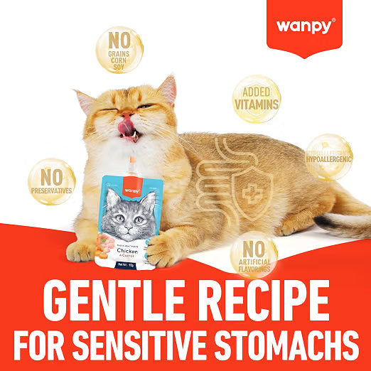 Wanpy Premium Lickable Creamy Meat Paste Duck and Pumpkin Cat Treats 90g