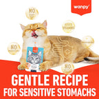Wanpy Premium Lickable Creamy Meat Paste Duck and Pumpkin Cat Treats 90g