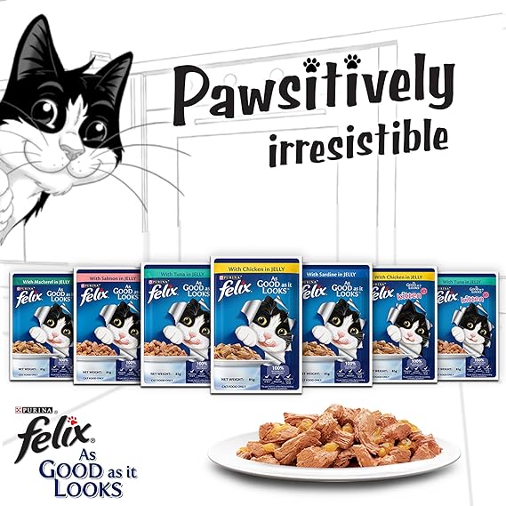 Purina Felix Salmon in Jelly Wet Cat Food 85g