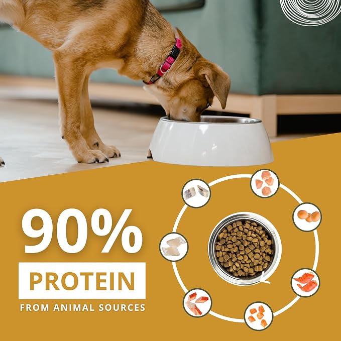 Charm Adult Dog Grain Free Premium Dry Dog Food 340g