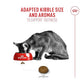 Royal Canin Fussy Exigent Cat Dry Food 2kg
